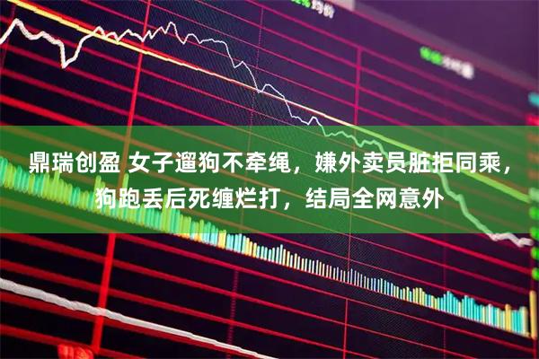 鼎瑞创盈 女子遛狗不牵绳，嫌外卖员脏拒同乘，狗跑丢后死缠烂打，结局全网意外