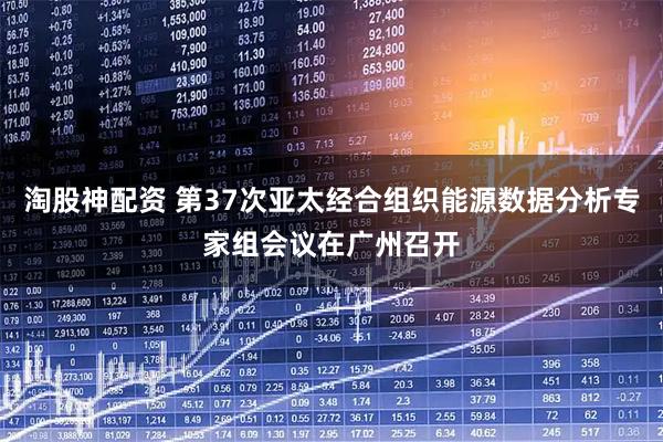 淘股神配资 第37次亚太经合组织能源数据分析专家组会议在广州召开
